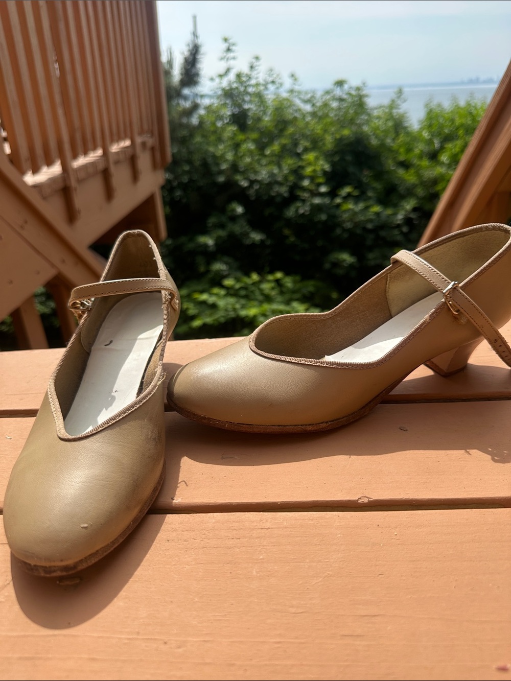 Capezio character shoes/Mary Jane Low Heel Pumps in Tan